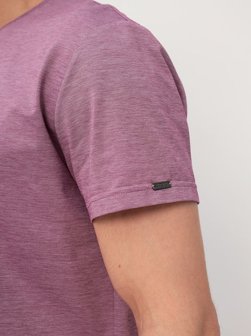 Футболка мужская короткий рукав GREG G145-PM4T-LT1635 (бордо)  фото 4