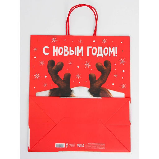 Набор пакетов новогодних крафтовых 5 штук «С Новым годом тебя!», 21 × 12 × 9 см