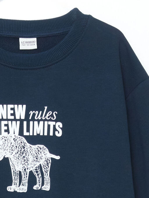 Bisiklet Yaka Erkek ?ocuk Sweatshirt - Waikiki фото 2