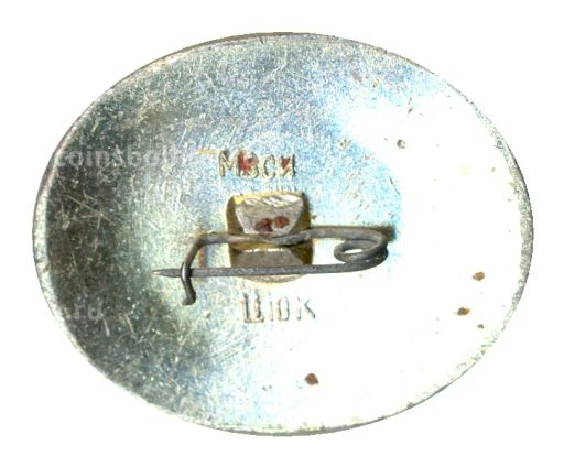 Значок Брест  Тираспольские ворота