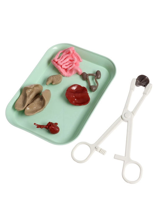 Набор для опытов по анатомии Строение тела, светится в темноте, с мягкими органами - Эврики фото 16