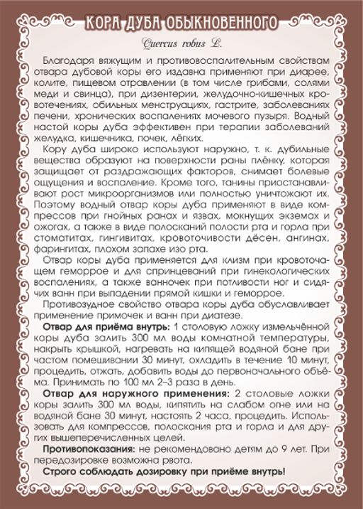 3 шт. Дуб (кора) - Мариславна фото 5