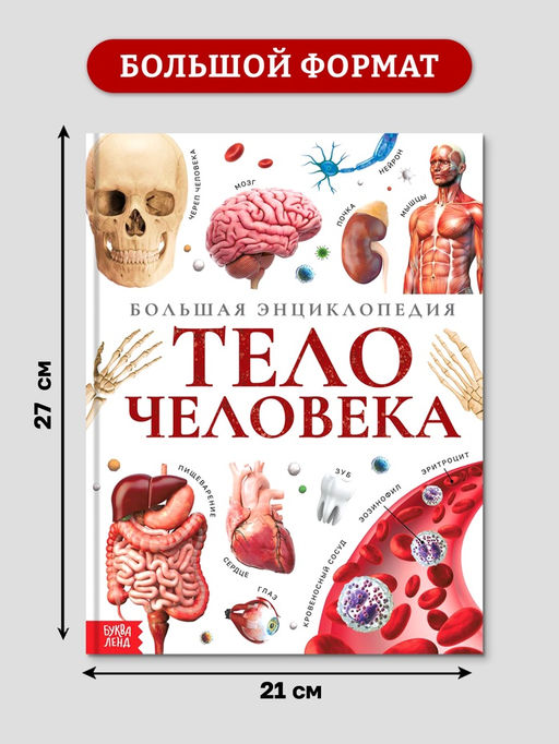 Энциклопедия в твёрдом переплёте "Строение тела человека", 128 страниц.