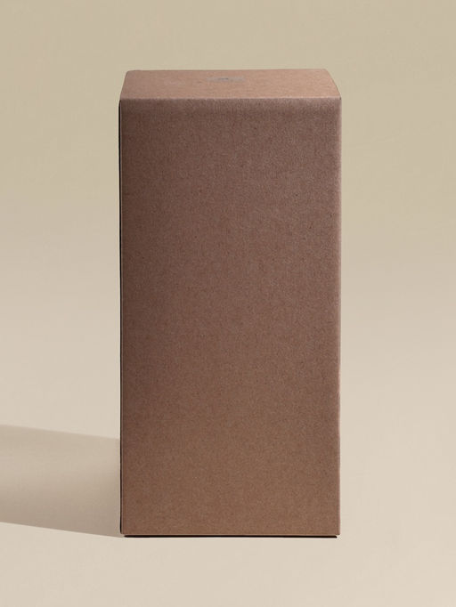 Бокал для шампанского SL-Home «Ёлочный», 250 мл, 6×23.6 см, стекло, прозрачный, зелёный