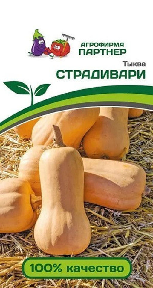 3272P Тыква СТРАДИВАРИ 10шт