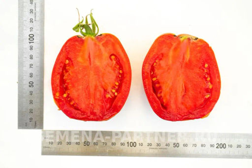 Томат Кахури - Партнер фото 8