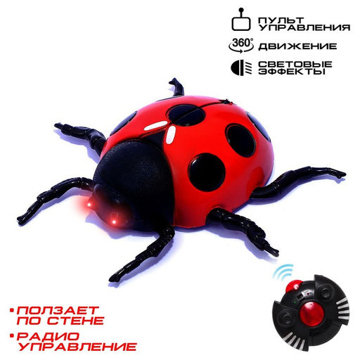Жук на радиоуправлении Божья коровка, ползает по стене