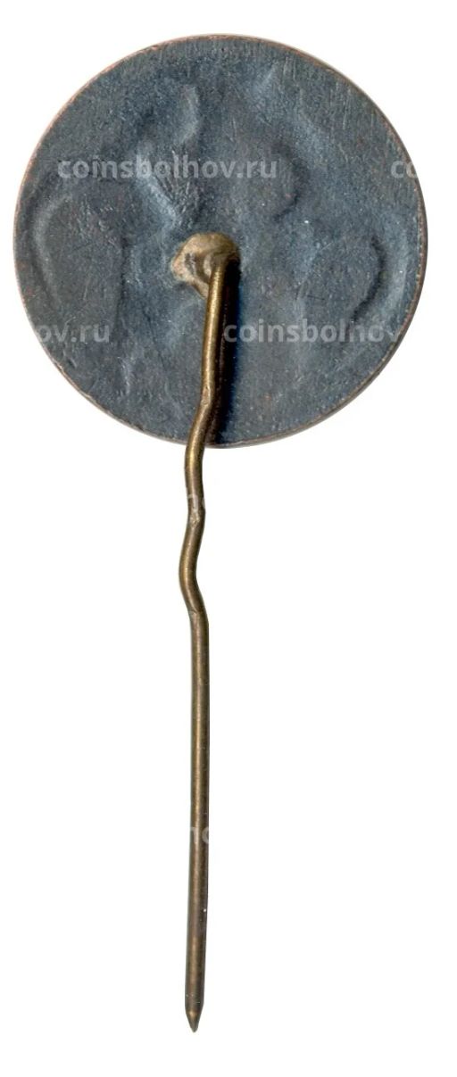 Значок Рига