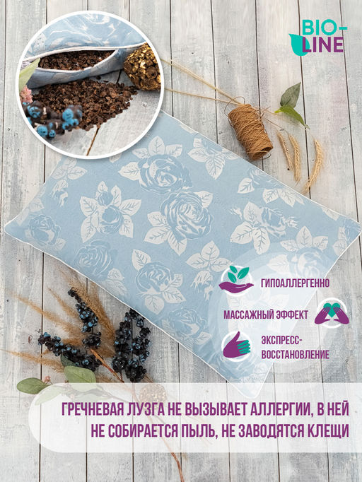 Подушка Bio-Line с лузгой гречихи PG40.60
