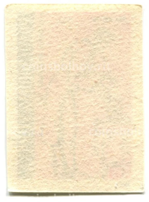 Этикетка спичечная Родословная спички № 8 фабрика Победа