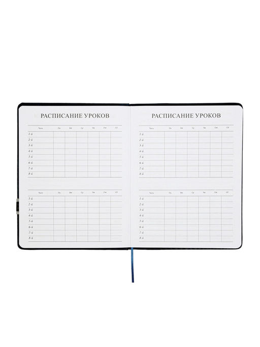 Дневник школьный 1-11 класс, лассе, обложка искуственная кожа серая, с хлястиком, с ручкой   1096906