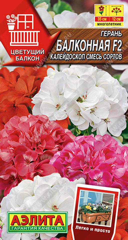 1397A Герань Балконная калейдоскоп F2, смесь сортов 5шт