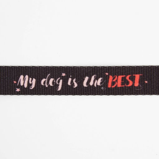 Поводок My dog is the best, 2 см, 1.5 м - Пушистое счастье фото 6