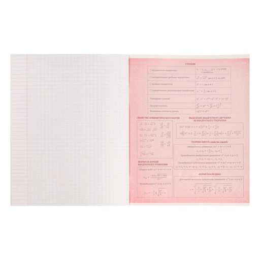 Цена за 10 шт. Предметная тетрадь по алгебре Calligrata «На Чёрном», 48 листов, в клетку, со справочным материалом, обложка из мелованного картона, УФ-лак, блок о�...