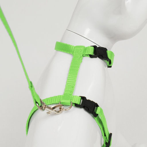 Комплект для кошек, ширина 1 см, ОШ 16,5-27 см, ОГ 21-35 см, поводок 120 см, зелёный - Пижон фото 5