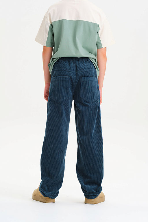 BWP3378//1 Брюки для мальчиков - Pelican фото 5