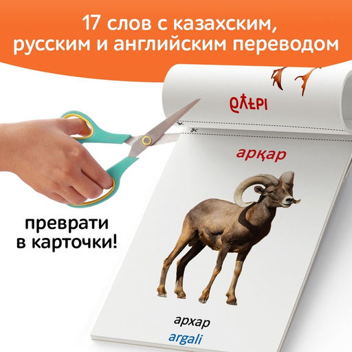 Книга по методике Г. Домана Дикие животные, на казахском языке - Буква-Ленд фото 4