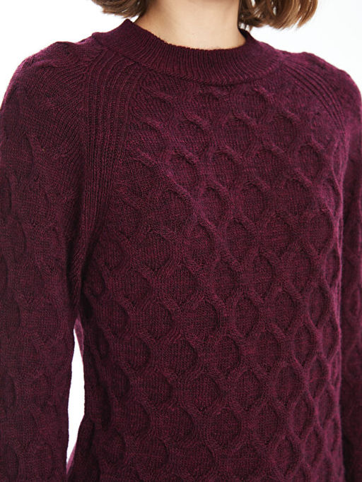 Bisiklet Yaka Kendinden Desenli Uzun Kollu Kad?n Triko Kazak