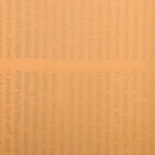 Плёнка матовая двухсторонняя "Газета на белом" персиковый, 0,58 х 10 м