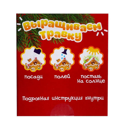 Набор для опытов Выращиваем травку, домик - Эврики фото 17