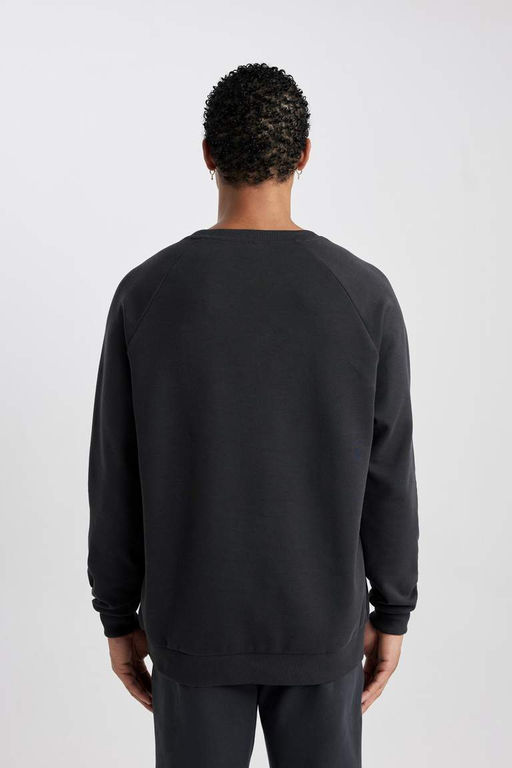 DeFactoFit Тканевый свитшот для дайвинга со стандартным кроем и круглым вырезом  фото 9