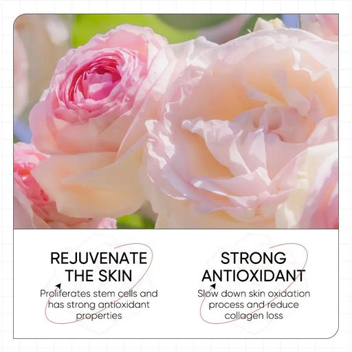 SADOER Гидрогелевые патчи от мимических морщин с экстрактом розы и коллагеном 60 шт - Bioaqua фото 3