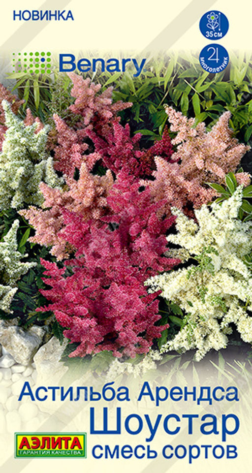 Астильба Шоустар, смесь сортов (2029