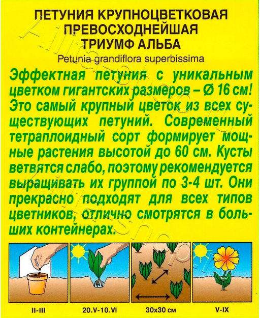 Петуния Триумф Альба крупноцветковая 7шт. (Аэлита)
