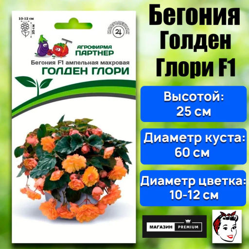Бегония клубневидная ампельная махровая Голден Глори - Партнер фото 2