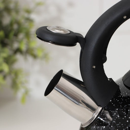 Чайник со свистком Доляна «Рио», 2.8 л, чёрный