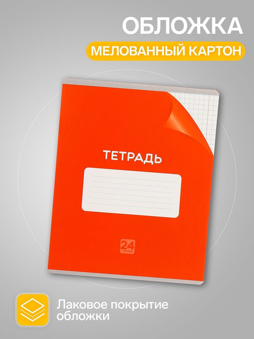 Набор тетрадей 24 листа в клетку Calligrata "Сочный Микс. Паттерн", серые листы, МИКС, 10 шт.