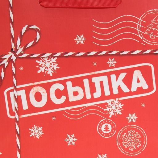 Пакет подарочный новогодний ламинированный «Посылка», ML 27 х 23 х 11.5 см
