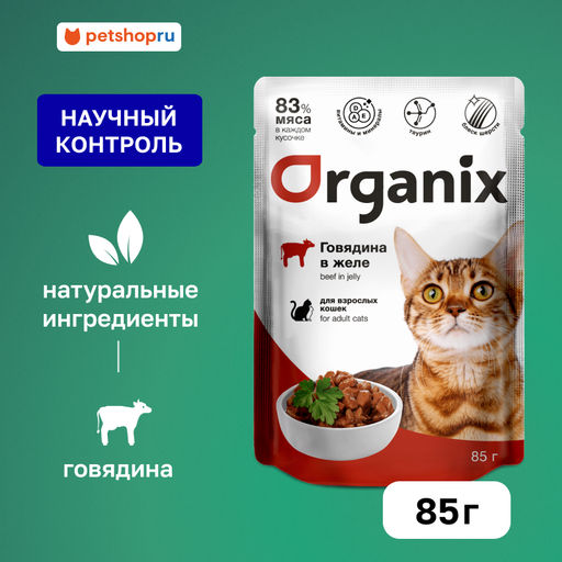 Паучи для взрослых кошек: говядина в желе