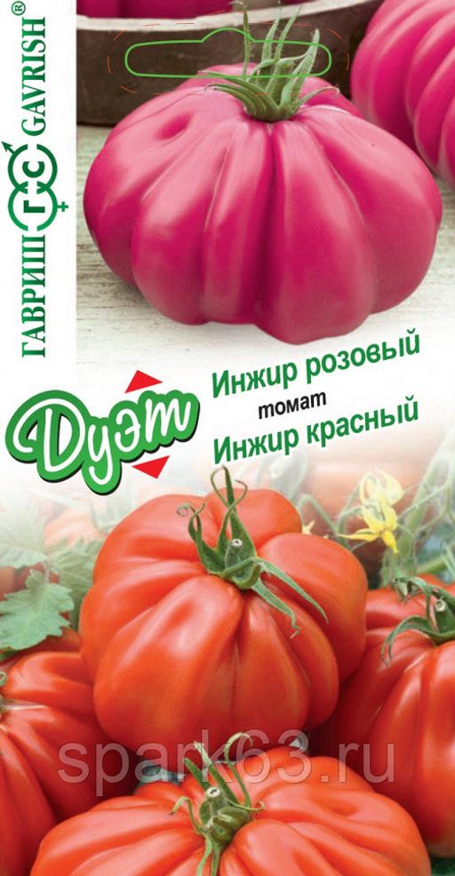 Томат Инжир Розовый Отзывы Фото