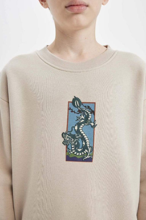 Толстовка оверсайз с широким кроем и принтом для мальчиков с круглым вырезом - Defacto фото 5