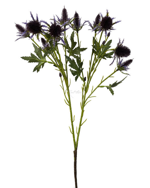 Эрингиум Супер Нова - Темно-фиолетовый - Real touch фото 3