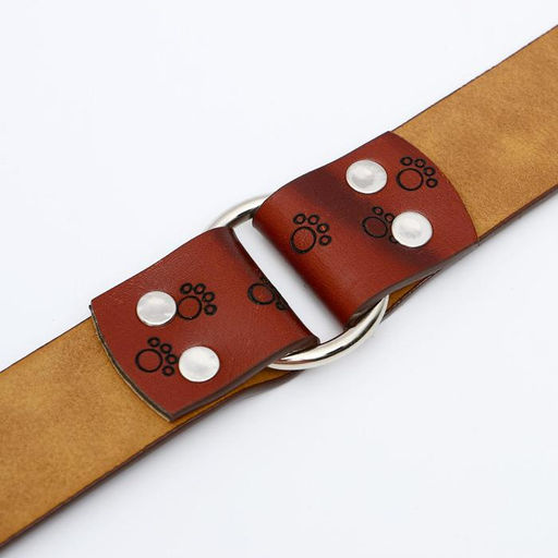 Ошейник с основой из термопластичной резины с тиснением Лапки, 58 х 2,7 см - Пижон фото 6