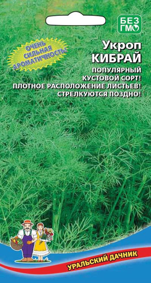 Укроп КИБРАЙ Кустовой, высокая ароматичность, устойчив к стеблеванию!