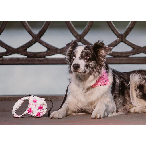 Рулетка Лапа, 5 м, до 35 кг, принт цветы - Пижон фото 10