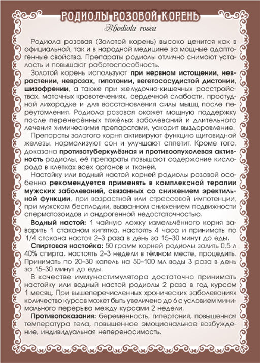 Родиола розовая (Золотой корень), (корень) - Мариславна фото 3