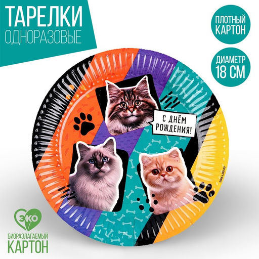Цена за 10 шт. Тарелка бумажная С днём рождения. Коты, 18 см