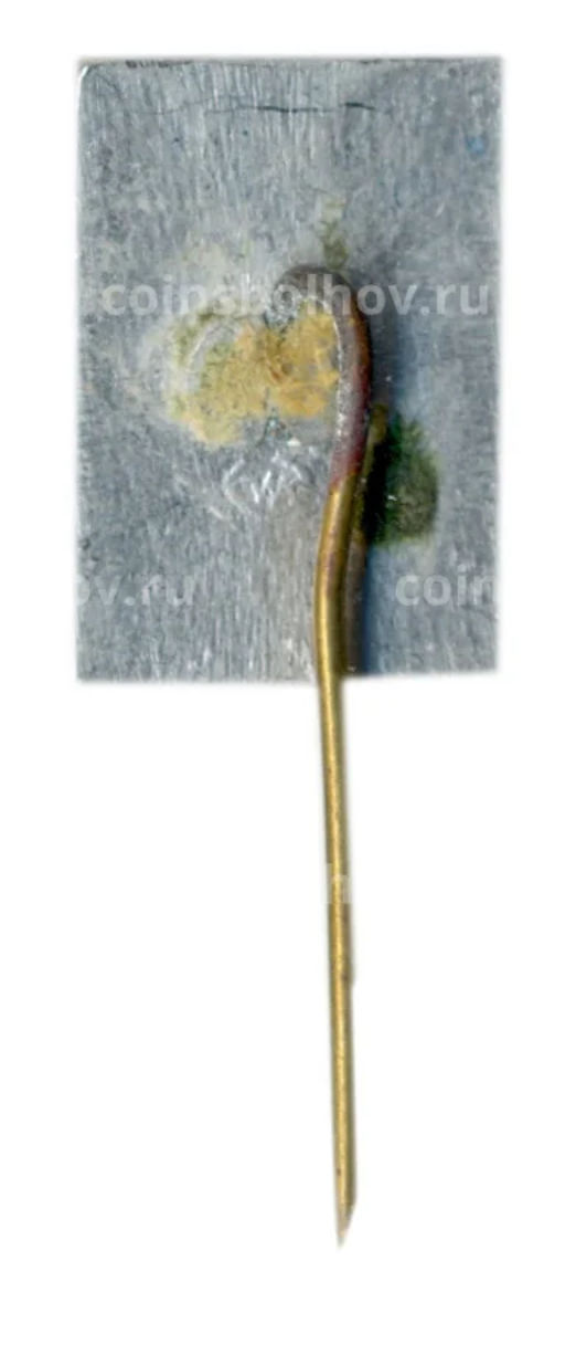 Значок Друскининкай