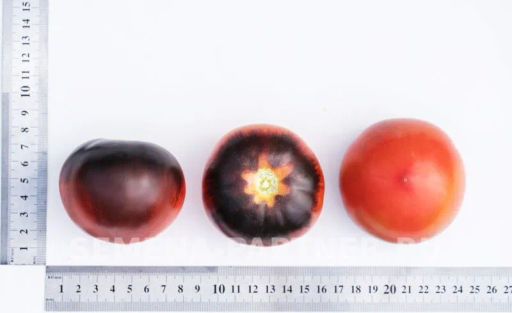 Томат Чёрная Богиня - Партнер фото 4