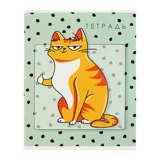 Комплект тетрадей из 5 штук, 48 листов в клетку Calligrata «Коты», обложка мелованный картон, блок офсет
