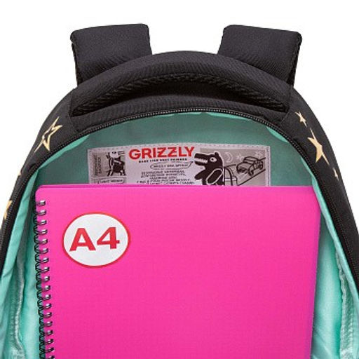 RG-462-2 Рюкзак школьный с обвесом - Grizzly фото 22