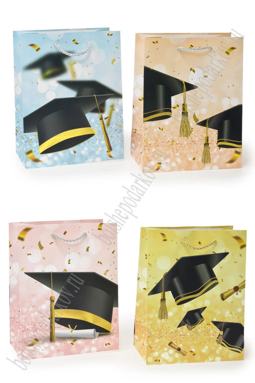 Пакет 26*32*12 см (12 шт) SF-7569, микс №43