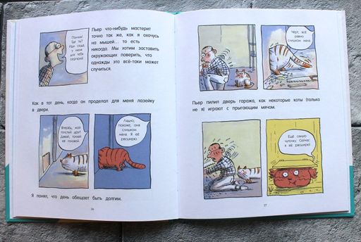 Кот Пончик. Дом кота