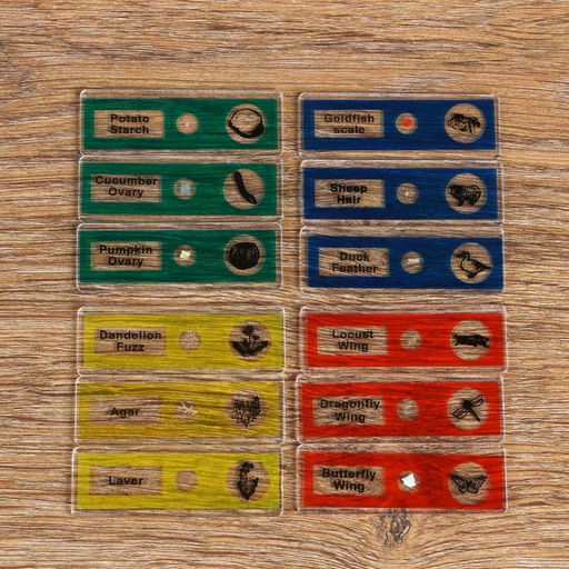 Микроскоп с экраном - проектором «Наука», кратность увеличения 50-1200х, с подсветкой