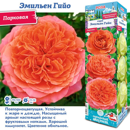 Роза Эмильен Гийо (Парковая) 1шт