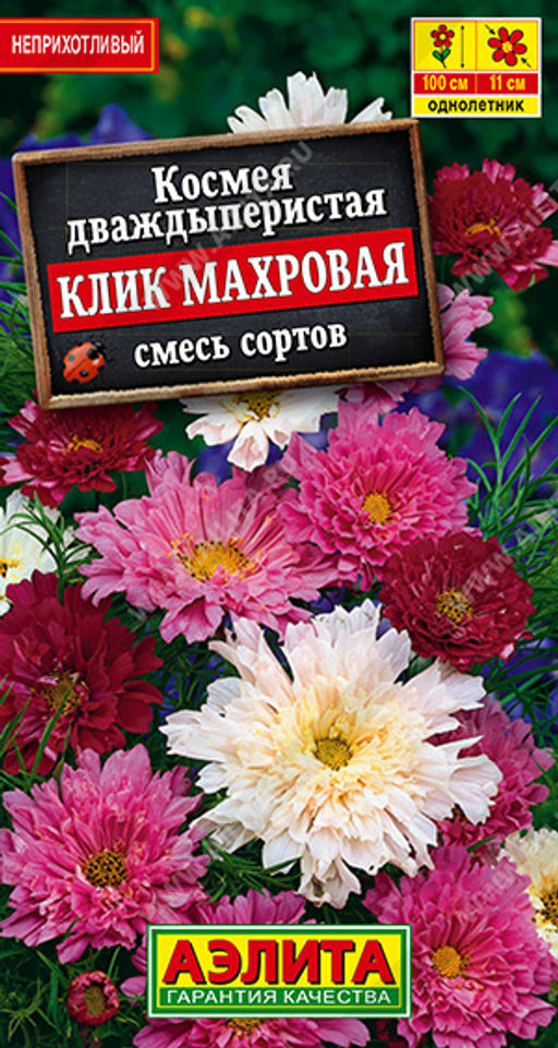 Космея Клик махровая, смесь сортов (2026)